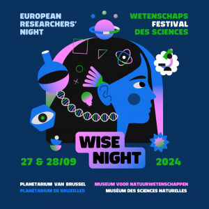 Wisenight 2024 main graphic