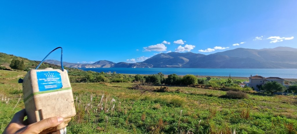 A grassy field with water in the background  Description automatically generated